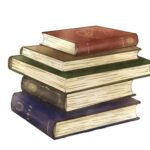 『失われた時を求めて』翻訳比較！初心者向けおすすめ版はどれ？