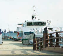 松島遊覧船を徹底比較！初心者向け完全ガイド：おすすめプランと選び方