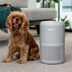 ペット臭対策！レボイト空気清浄機を比較｜口コミと選び方を解説します