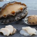 とこぶしとあわびの違いと値段を解説！見分け方から味まで完全網羅します